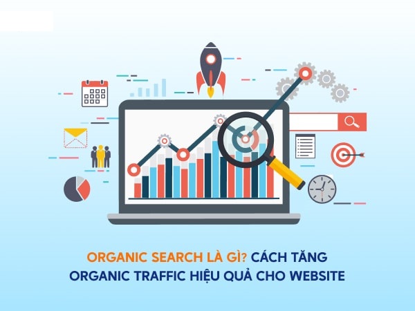 Phân biệt Web Design và Web Developer